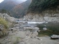 川辺にたどり着いた♪